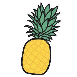 Ananas-diepvries-fruit-afbeelding-4