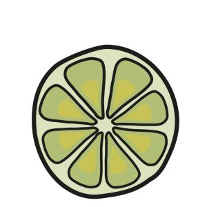 Limoen-diepvries-fruit-afbeelding-5