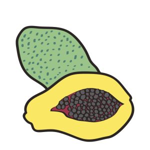 Papaya-dievries-fruit-afbeelding-2