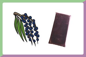 Acai-puur-diepvries-fruit-product-afbeelding-1